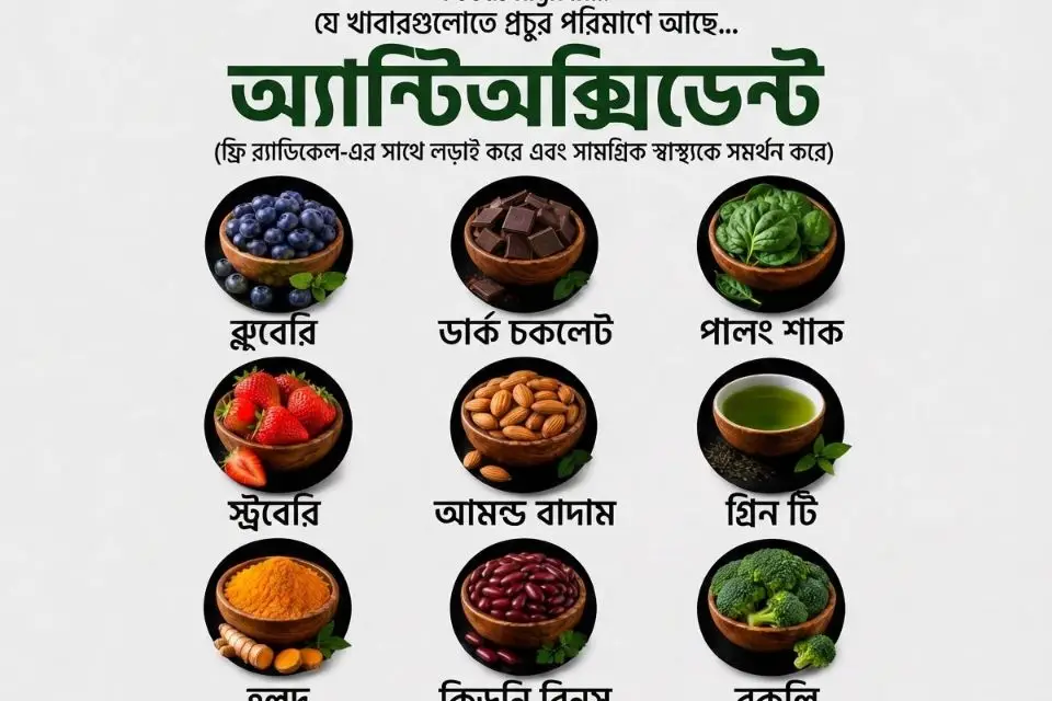 অ্যান্টিঅক্সিডেন্টের ভূমিকা: রোগ প্রতিরোধ ক্ষমতা বাড়ানোর উপায়