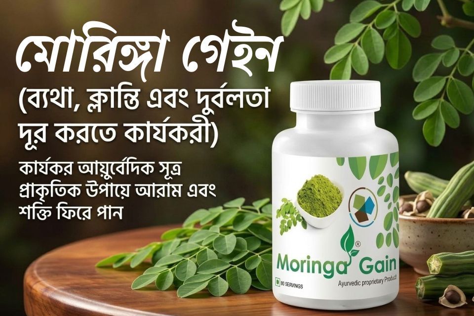 _মোরিঙ্গা গেইন শরীরের ব্যথা ক্লান্তি দুর্বলতা কমাতে কার্যকরী আয়ুর্বেদিক ফর্মুলা